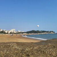 Welling Gu (@guwelling) 's Twitter Profile