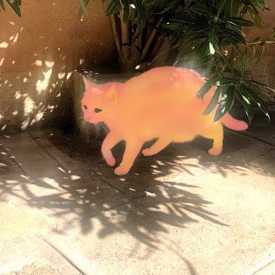 空野良猫さんのプロフィール画像