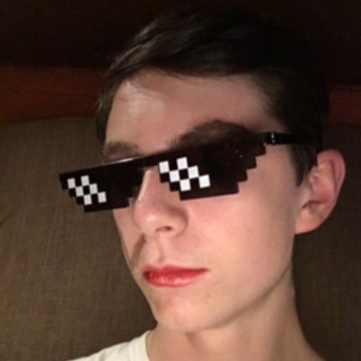 botlinu's profile picture. A parody acc of that cool streamer - admins on following (besides eryn and freddie)