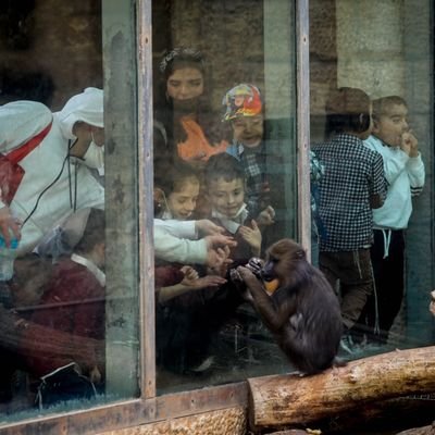 Add06203244's profile picture. News