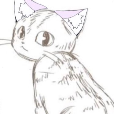 ぬー⚓🎀🐾さんのプロフィール画像