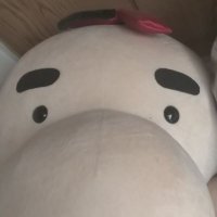 しげみな (@akira_s4) 's Twitter Profile Photo しげみな (@akira_s4) 's Twitter Profile Photo