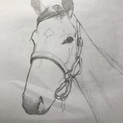 もけさんのプロフィール画像