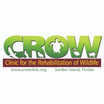 The Clinic for the Rehabilitation of Wildlife (CROW) is a teaching hospital and visitor education center dedicated to saving wildlife. #CROWClinic