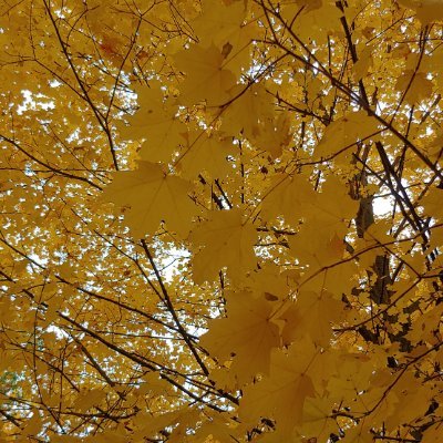 lurkjz45's profile picture. Browsing ... idk how I became a Liu Yu supporter. oof.

obviously bored with life... for now