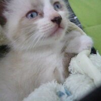 Caleb Ezra (@caleb_ezra1) 's Twitter Profile
