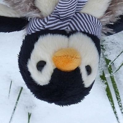 어さんのプロフィール画像