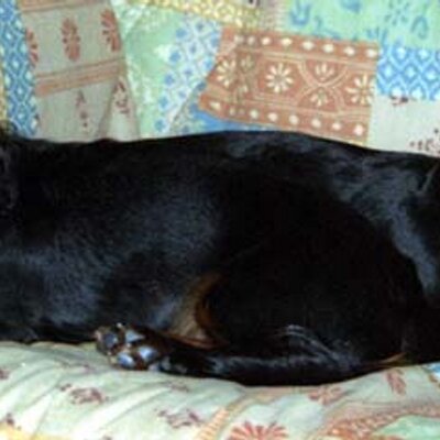 Profile Picture of Jack And Sally Parks (@palaheel) on Twitter