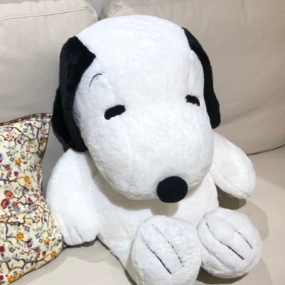 MittiKura's profile picture. 