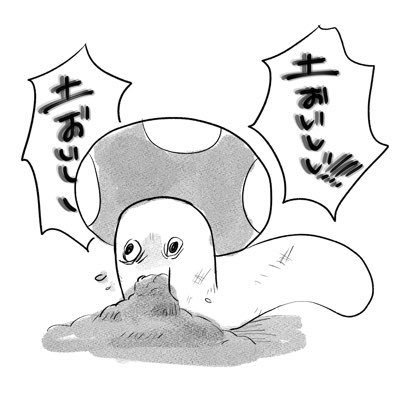 樹海のきのこんぬ🍄さんのプロフィール画像