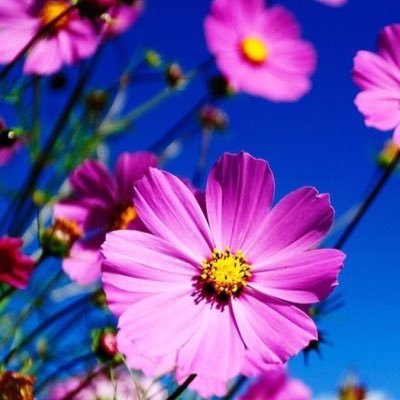 ThienAnVu3's profile picture. 