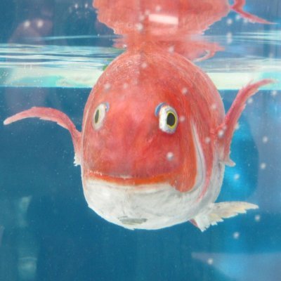 tforce_7171's profile picture. んなぁ