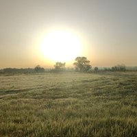Marius-FG (@fgmarius) 's Twitter Profile