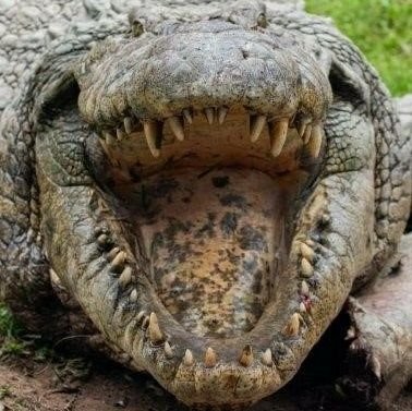 David38760851's profile picture. 🏳️‍🌈❤️🧡💛💚💙💜🏳️‍🌈