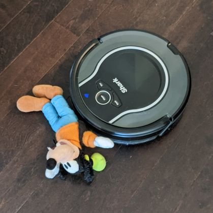 Deeznuts42019's profile picture. My mom says I'm special