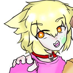 わんころころもちさんのプロフィール画像