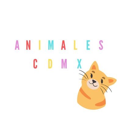 Animales_CDMX Profile Picture