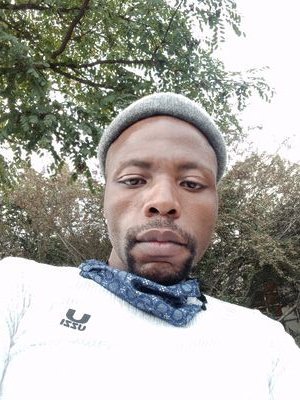 ShuffleCia's profile picture. shavistor