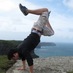 The Flying Camba (@flyingcamba) Twitter profile photo