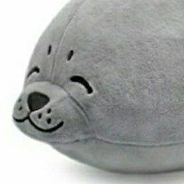 ternator55's profile picture. 中文/english | 20