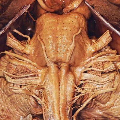 docsach2020's profile picture. 