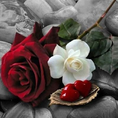 kxLvcfiJhy8sTia's profile picture. إلى الامام