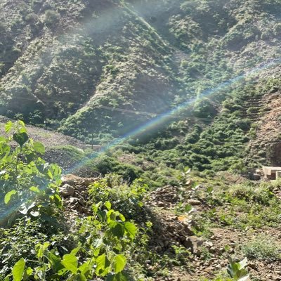 Ghamdialghamdi1's profile picture. لاحول ولا قوة الا بالله