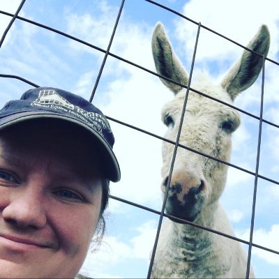 Behavioral zoologist specializing in canids and ungulates •
Horse & donkey lover, photographer •
Current Masters student at Michigan State University •
she/her