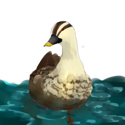 鴨さんのプロフィール画像