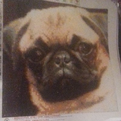 PugglesArt's profile picture. 
