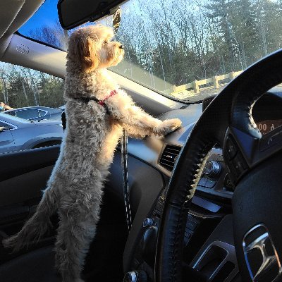 narmathabala's profile picture. She/Hers @Microsoft
Opinions mine