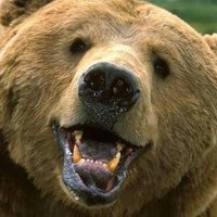 グリ🐻 (@grizzly_1969) Twitter profile photo