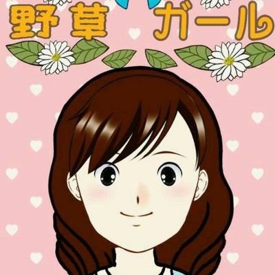 365日野草生活?のんのプロフィール写真