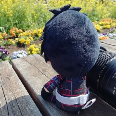 せとかさんのプロフィール画像