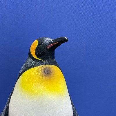 tokizaki's profile picture. 