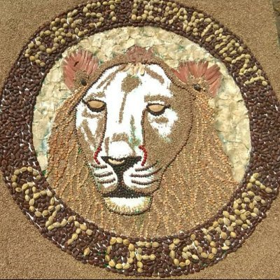 SRajpipl's profile picture. Its forest research wing working on forest conservation and management under Gujarat forest department.