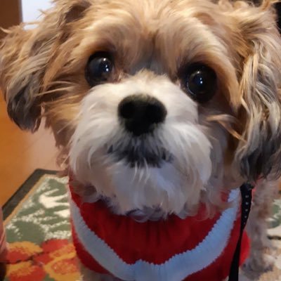 AeJq0's profile picture. 