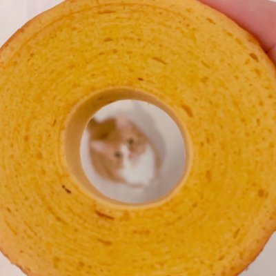 AmaneT11976340's profile picture. 法④/📯📯