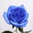Amy_utu
