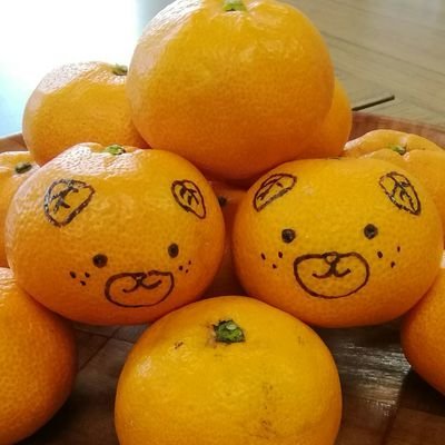 さいちんさんのプロフィール画像