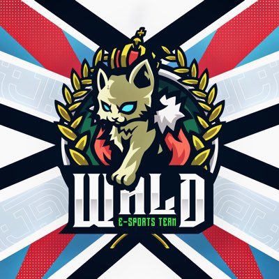 WALD e-Sports team 🇯🇵さんのプロフィール画像