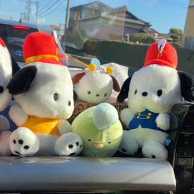 aiaiO__O's profile picture. ぽちゃのおしりかわいすぎ〜〜🥺💕