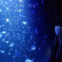 え (@enzan_vb) 's Twitter Profile