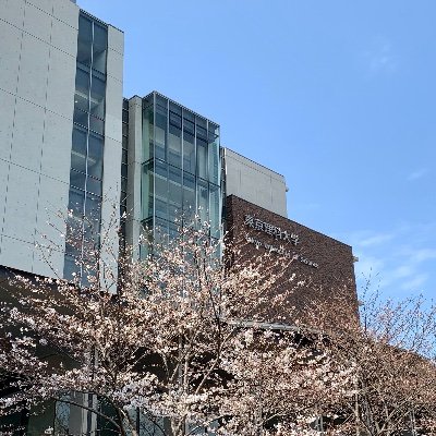 東京理科大学 先進工学部 生命システム工学科 @ 葛飾キャンパスで2021年4月より始動しました。有機化学・ケミカルバイオロジーに関する研究をしています。