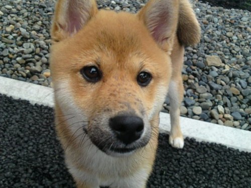 osaka_wideband's profile picture. 北海道在住。おいしいご飯が好き。 おもしろいことを探すのが好き。2023年からTOEIC勉強中。560点→815点。