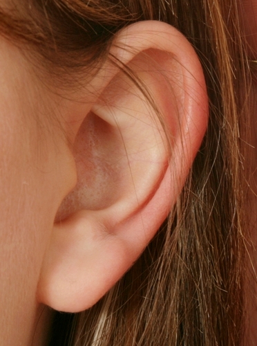 The hearing care community