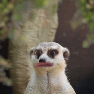 Ryudesu0321's profile picture. 政策創造学部の政策学科です！(男) 気軽にフォロー&DMしてください ちなみにゼルダの伝説大好きです！ apex(ゲーマー)/テニス/も好きです！