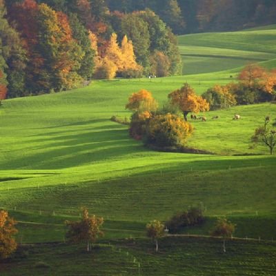 WPpaaeyaDIr2zUM's profile picture. ‏ابو فراس