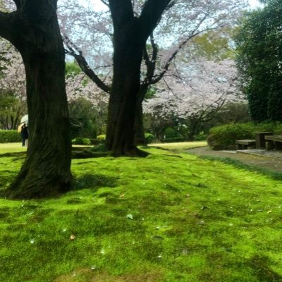 utukaiwainodoem's profile picture. ご飯と散歩とボドゲと演劇とサウナとポケモンを好む🐢 非電源(@hidengenkatsu)元代表 ぽけてん@poke10_diez たまに書くnote：https://t.co/Xl80WSE1O4