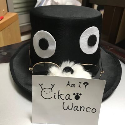 Cika•Wanco(しか•ワンコ)🐶さんのプロフィール画像